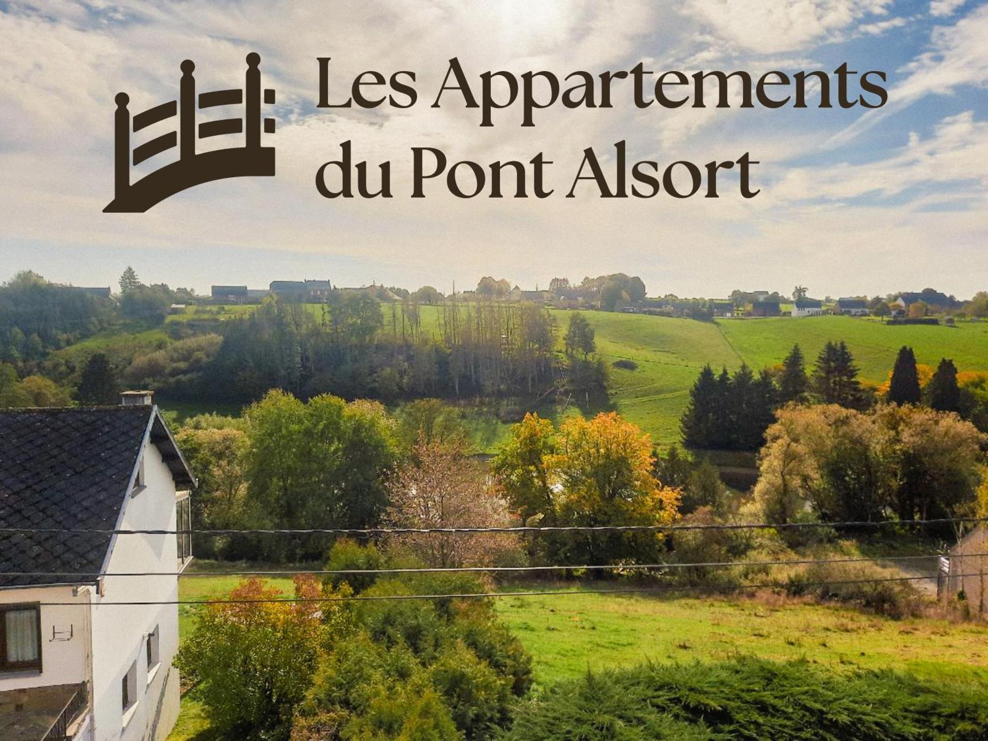Appartement Terrasse Du Pont Alsort Froidchapelle Exterior photo